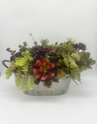 Succulent Arrangement