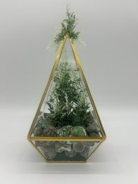 Gold Triangle with Green Sea Shells