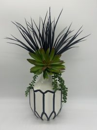 Black-White Succulent Vase